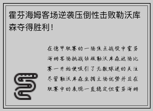 霍芬海姆客场逆袭压倒性击败勒沃库森夺得胜利！